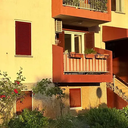 Viola Apartament